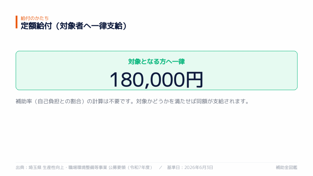 補助率と自己負担の内訳