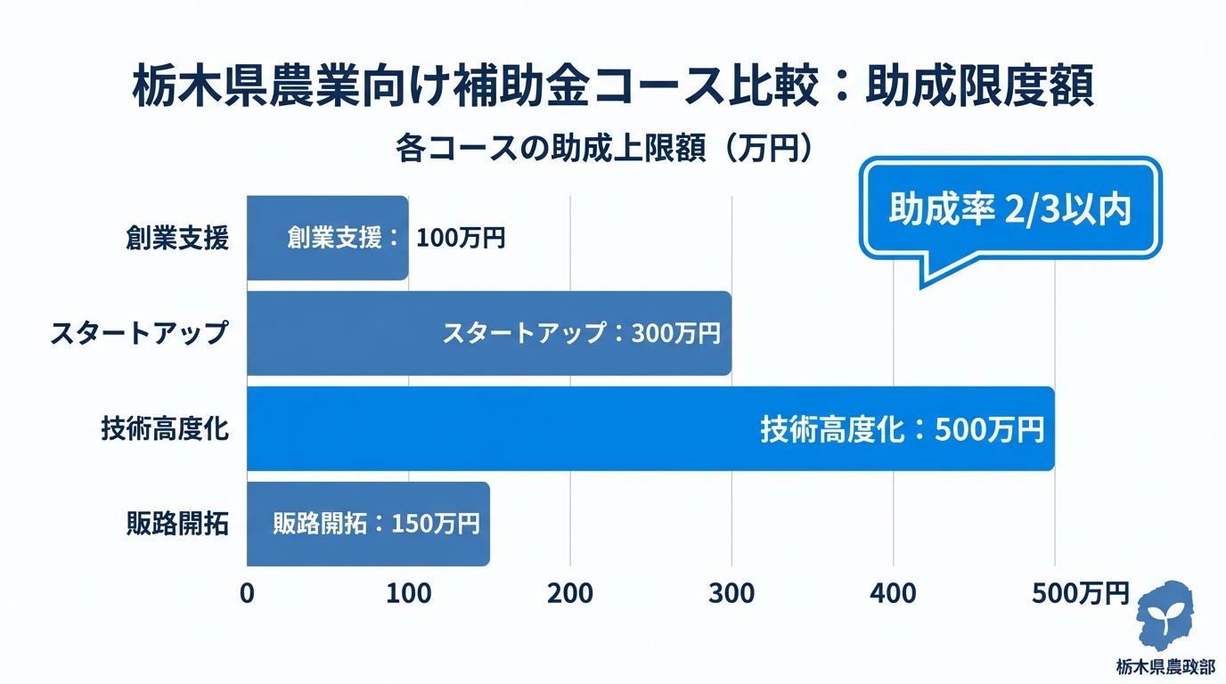 AI図解: とちぎ未来チャレンジファンド：4つの支援コース比較