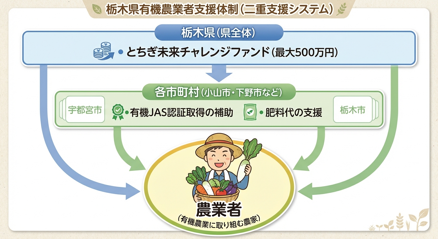 AI図解: 栃木県の有機農業支援：県と市町村の二段構え構造