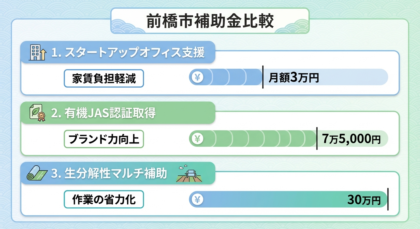 AI図解: 前橋市・令和7年度重点補助金の比較シミュレーション
