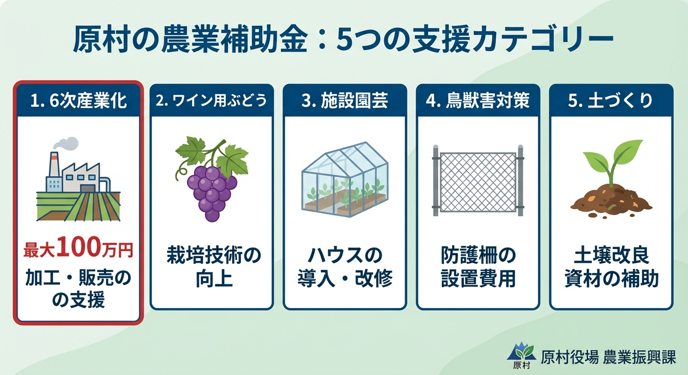 AI図解: 対象となる補助メニューと支援内容の全体像