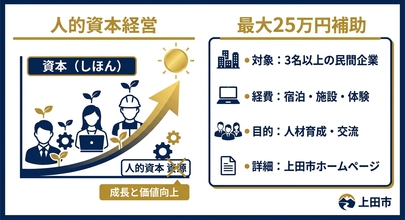 AI図解: 上田市補助金の概要と人的資本経営のイメージ図