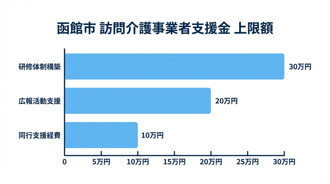 AI図解: 函館市：訪問介護事業者向け支援メニューと補助上限額の比較
