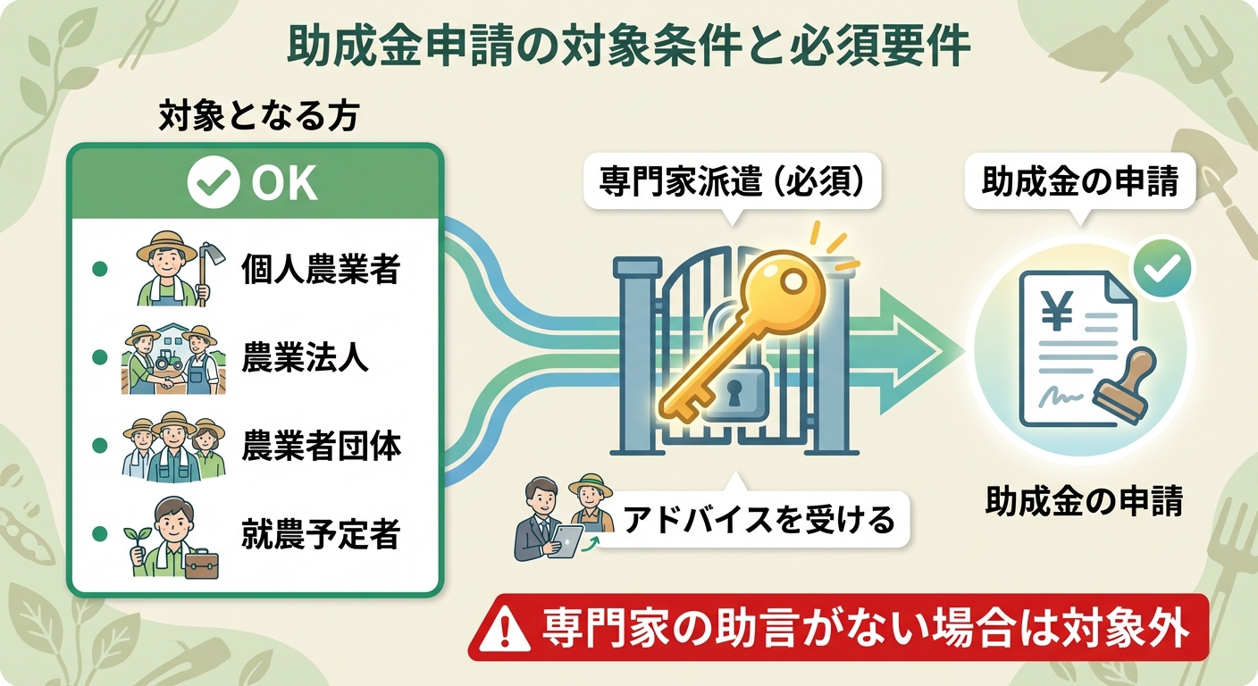 AI図解: 助成対象者と必須条件の構造図