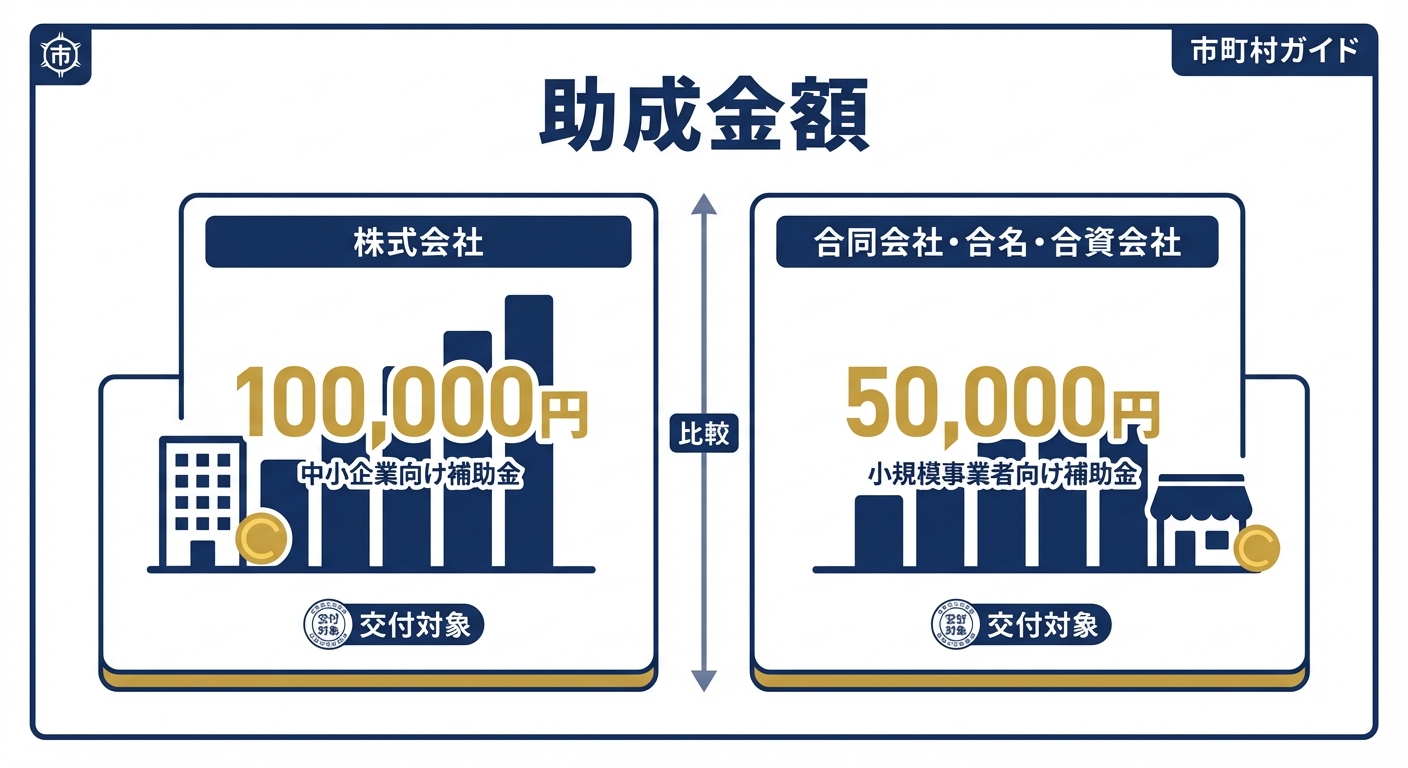 AI図解: 法人形態別の助成金額比較
