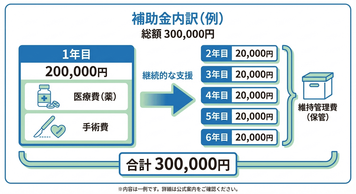 AI図解: 最大30万円の助成金の内訳シミュレーション