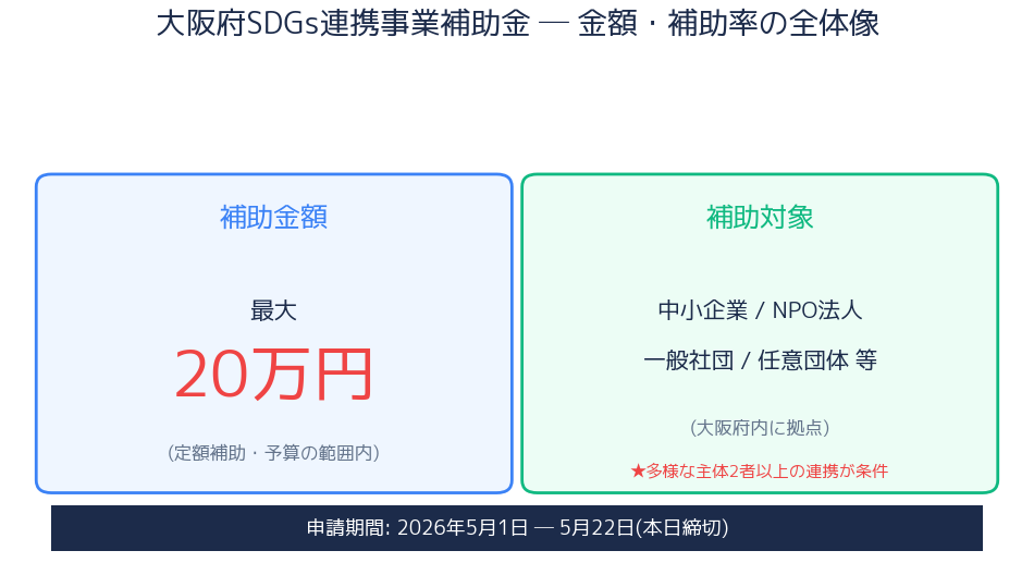 図: 大阪府SDGs連携事業補助金の金額・対象の全体像(最大20万円/定額) ※ データ可視化 (matplotlib + Pillow)