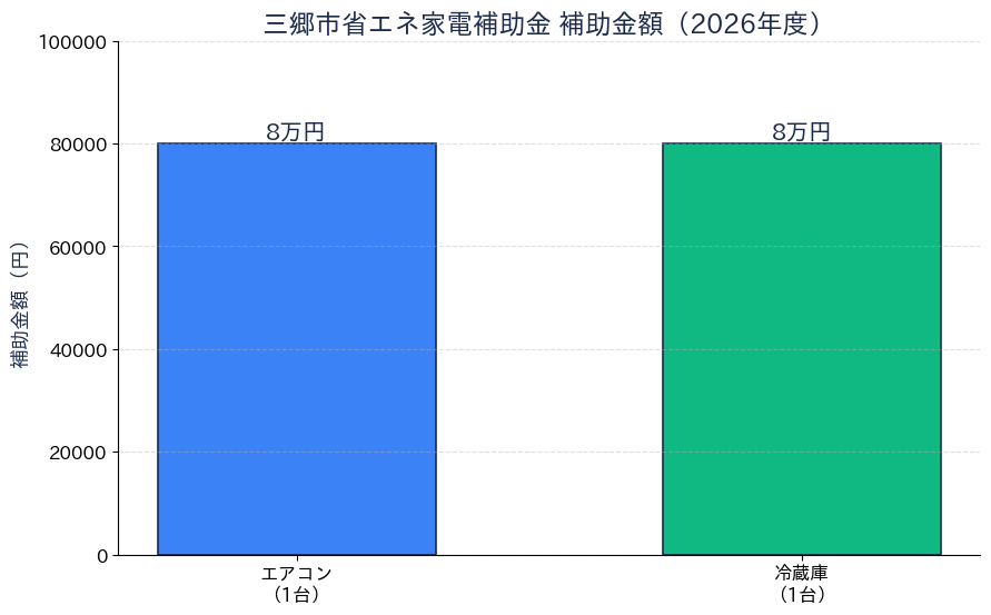 三郷市省エネ家電補助金 - 補助金額グラフ
