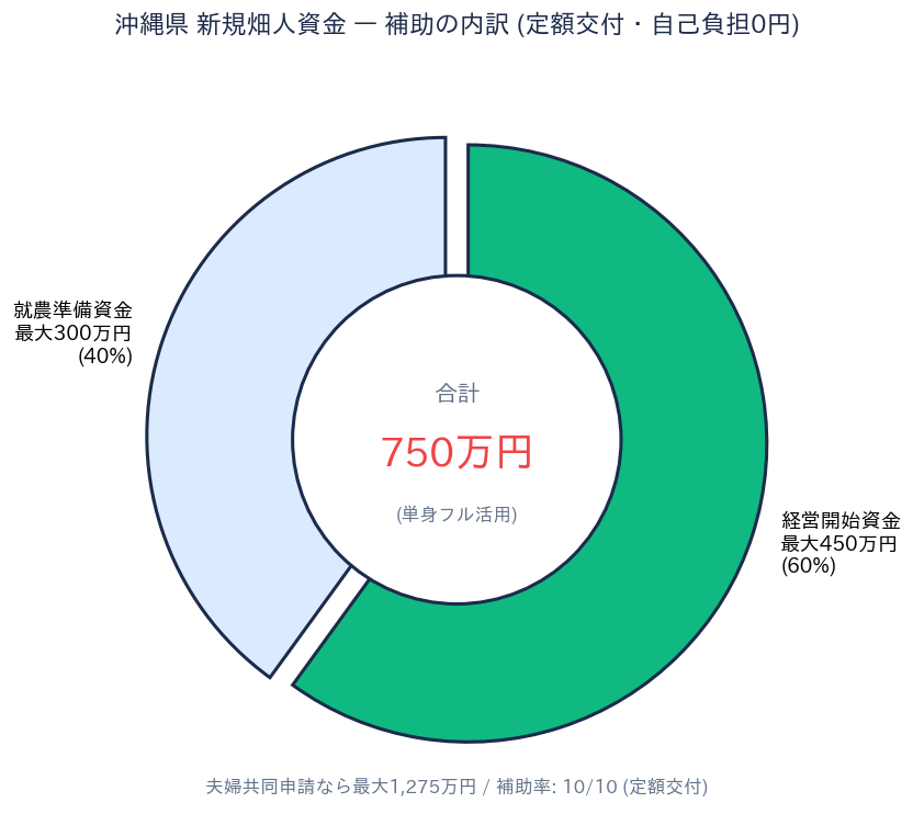 沖縄県 新規畑人資金 補助内訳