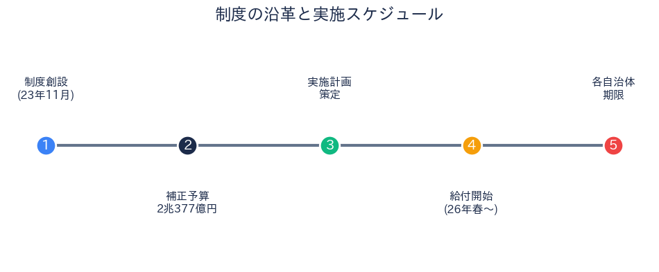 制度の沿革と実施スケジュール