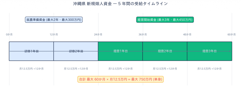 5年間のタイムライン