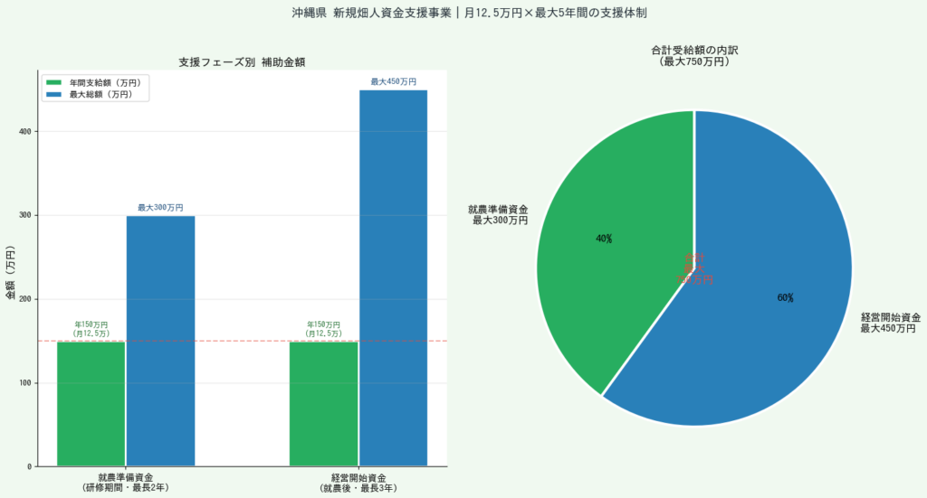 沖縄県新規畑人資金支援事業 - 支援フェーズ別補助金額グラフ