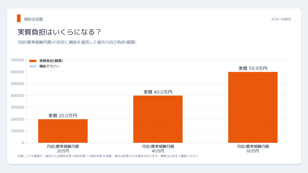こども家庭庁 子ども・子育て支援金 賞与支払届 実質負担シミュレーション