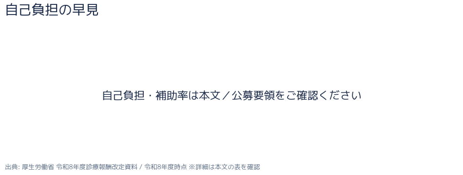 ベースアップ評価料 賃上げ目標 看護職員3.2%年 内訳グラフ