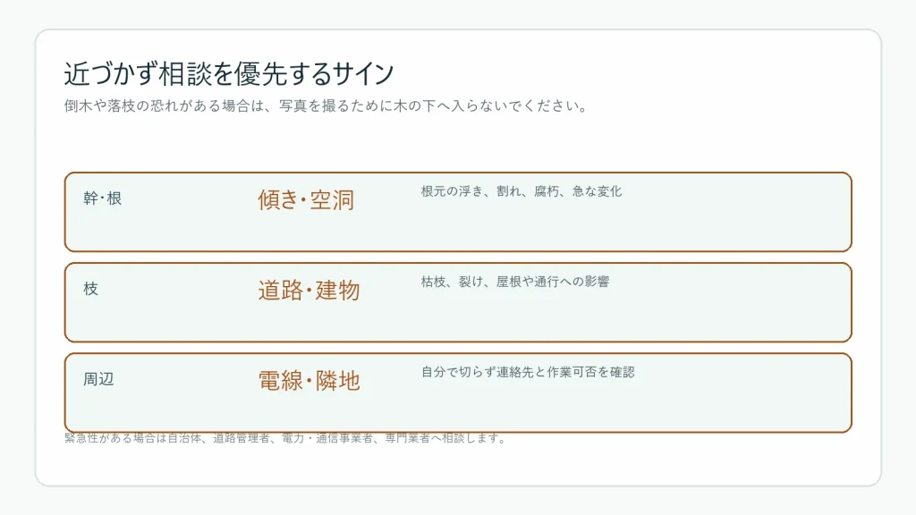 危険木へ近づかず相談するサイン