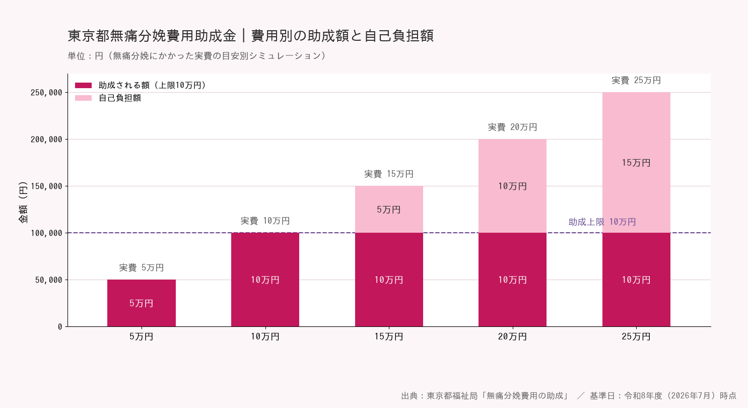 東京都無痛分娩費用助成金 - 費用別の助成額と自己負担額の図解